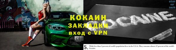 тгк Гусев