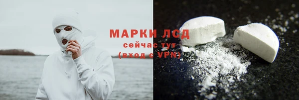 тгк Гусев