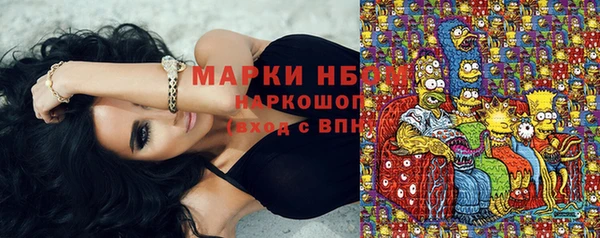 тгк Гусев