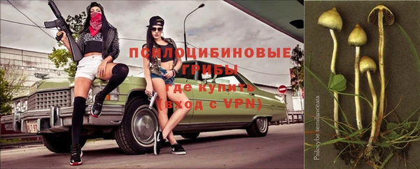 тгк Гусев
