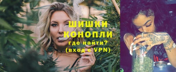 тгк Гусев