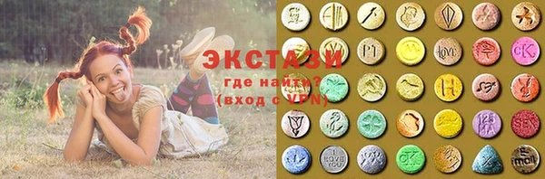 тгк Гусев