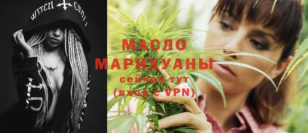 тгк Гусев