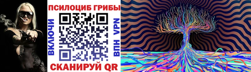 где купить наркоту Кандалакша Галлюциногенные грибы Psilocybine cubensis