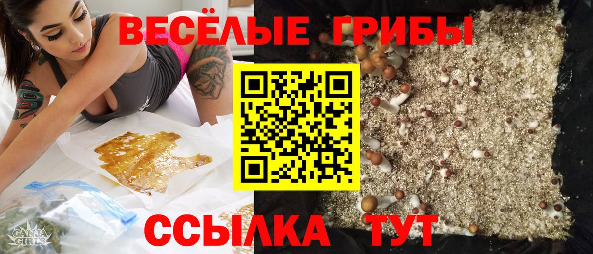 Псилоцибиновые грибы ЛСД  Псилоцибиновые грибы Psilocybine cubensis  Кандалакша  Вход с VPN 